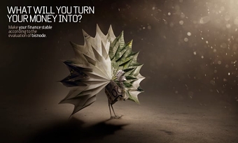ADVERTISING POSTER MAKING OF / 3D PEACOCK