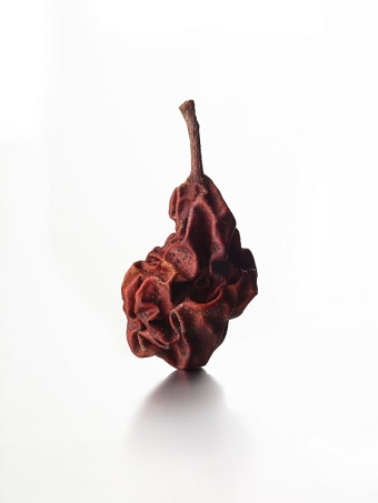 Kevin Summers, Dried Pear