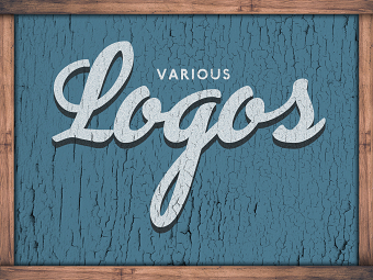 Various Logo Designs