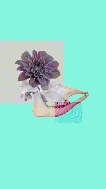 *