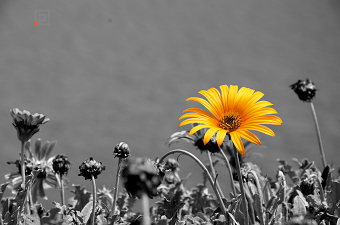 Photo editting
