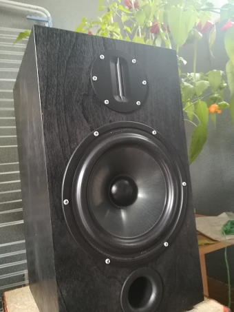 Loudspeaker 8 inches