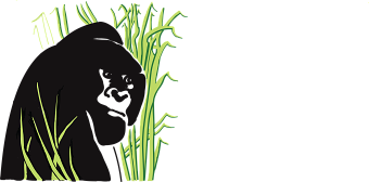 Logo - Trekking with Gorillas