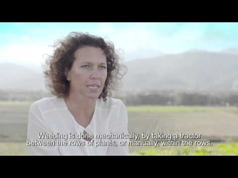 L'Occitane (Editor+colourist)