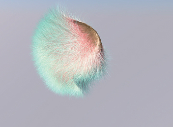 CINEMA 4D - Test