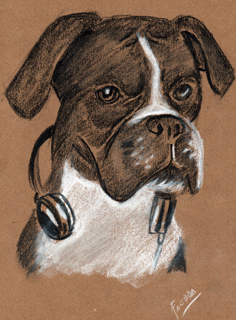pet portrait1