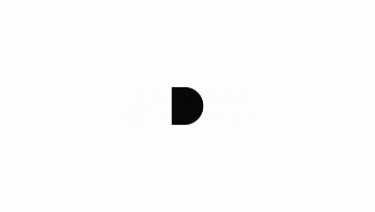 Danielle Johnnei Branding system