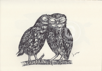 BALLPEN OWLS