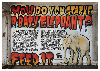 Elephant Nature Park