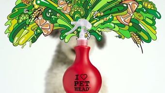 Pet Head #petheadstyle