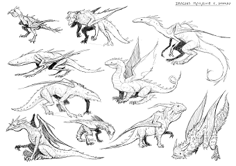 Dragon Concepts