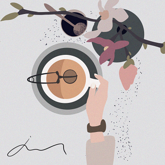 still life illustration