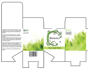 Packaging design - Botanics