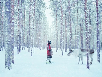 Todd Antony, Lapland