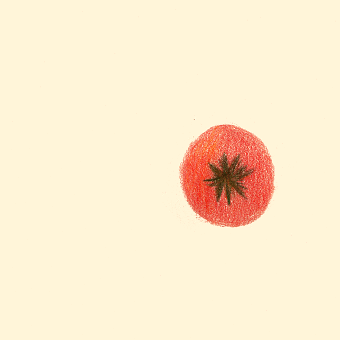 tomates