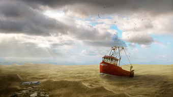 Seagrass