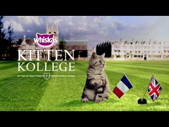 Kitten Kollege