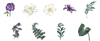 Pattern with lilies