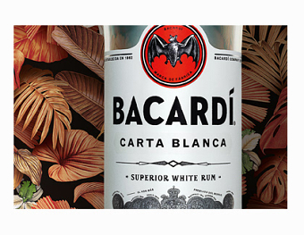 Barcardi - Festival graphic