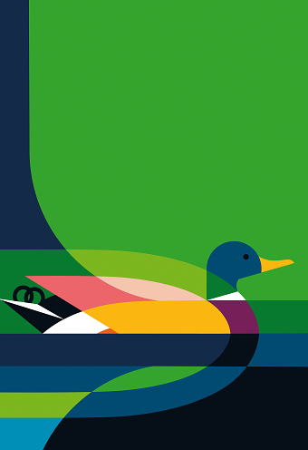 Mallard