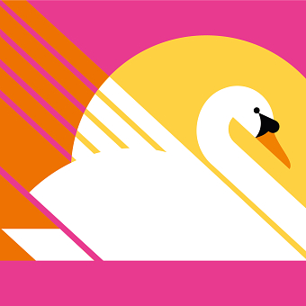 Swan
