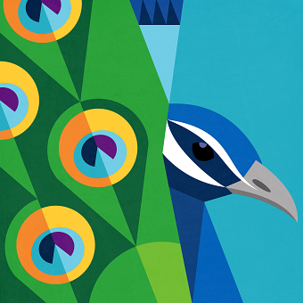 Peacock