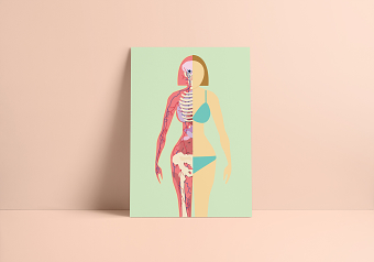 Body Image Illustrations