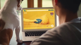 PetCommerce