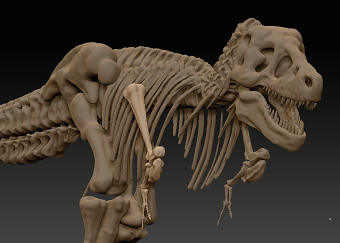 3D Tyrannosaurus Rex