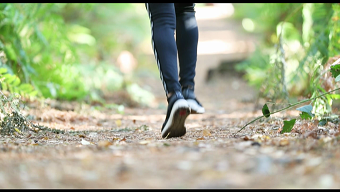 woodland training