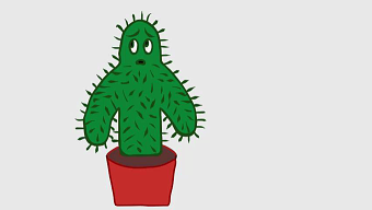 "Hug me?" -Shy Cactus
