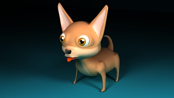 Chihuahua