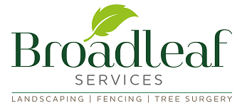 Broadleaf Logo Design