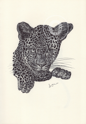 BALLPEN LEOPARD