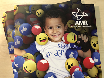 AMR Annual Report 2019