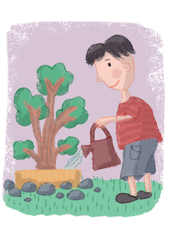 Book Illustrations