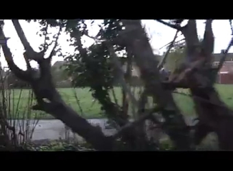 Seen Teaser