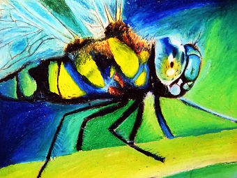 Traditional Illustration