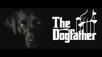The Dogfather Day Care