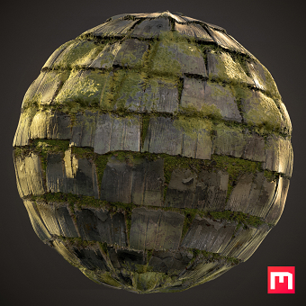 mossy roof