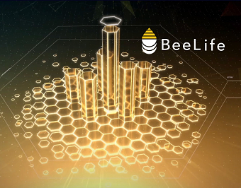 Beelife || Leading Change in the Cryptocurrency World