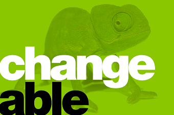 Campaign & Rebrand