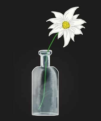 Digital Still