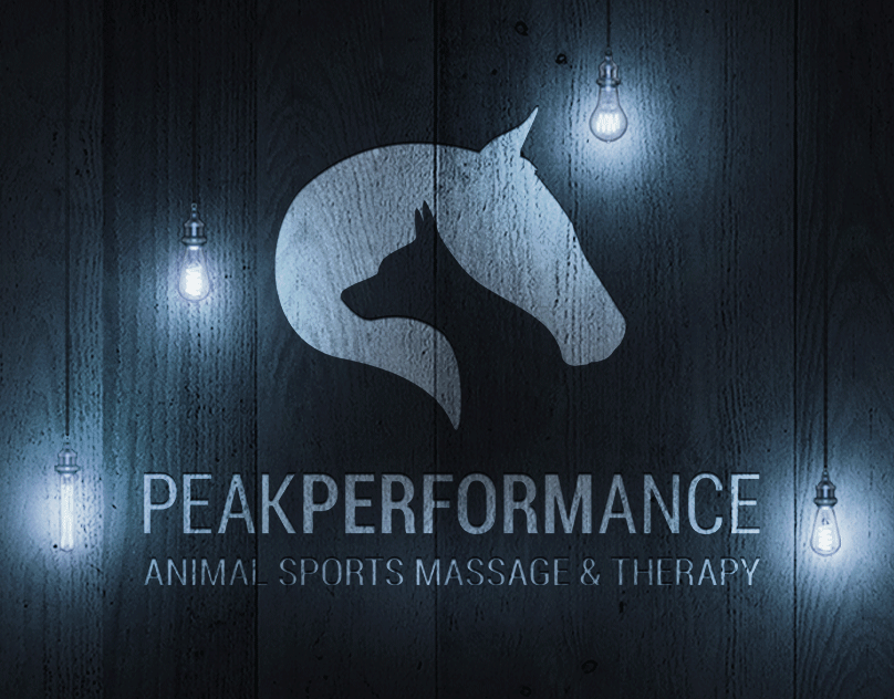 Peak Performance Logo Design