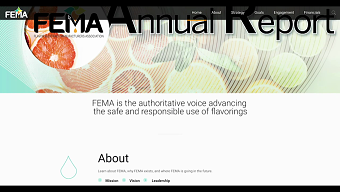 2019 Annual Report Website
