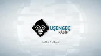 Usengec Kasif Logo Sting