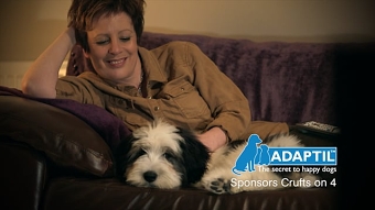 Adaptil Crufts Sponsorship
