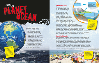 Book cover and page layout design