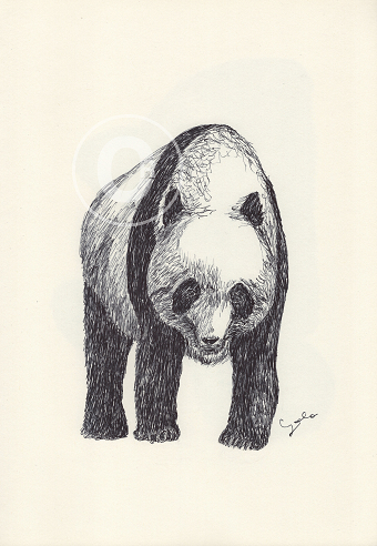BALLPEN PANDAS