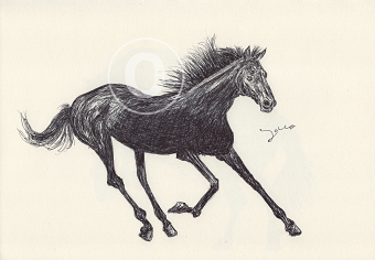 BALLPEN HORSES